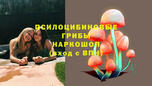 мяу мяу мука Гусиноозёрск