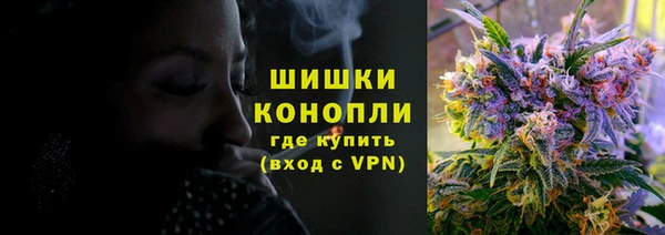 мяу мяу мука Гусиноозёрск