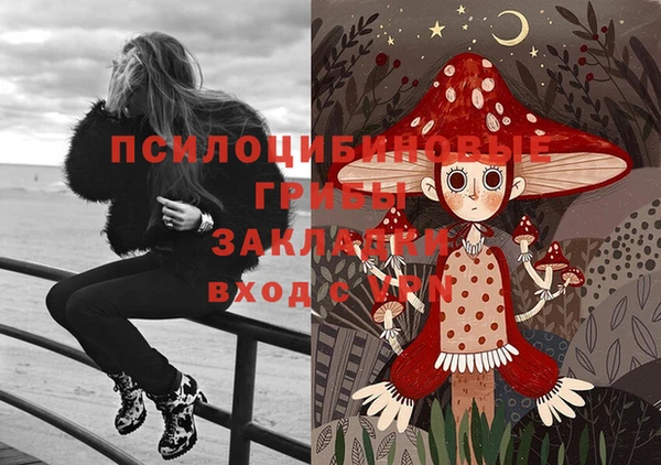 мяу мяу мука Гусиноозёрск