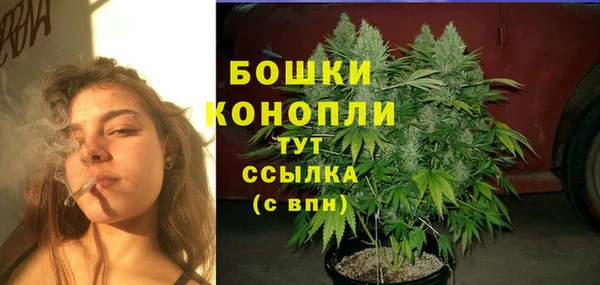 мяу мяу мука Гусиноозёрск