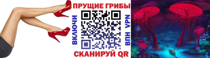 omg ссылка  как найти закладки  Мценск  Псилоцибиновые грибы ЛСД 