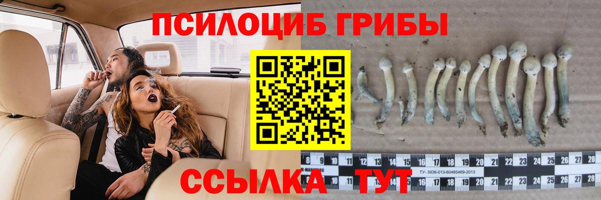 Мценск  Галлюциногенные грибы GOLDEN TEACHER  Вход с VPN 
